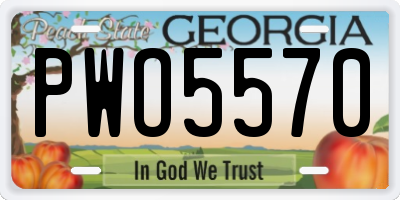 GA license plate PWO5570