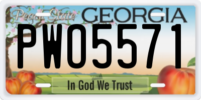 GA license plate PWO5571