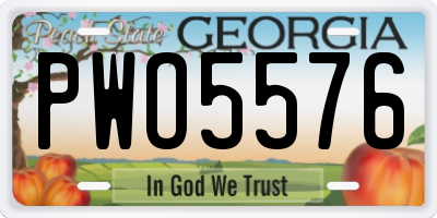 GA license plate PWO5576