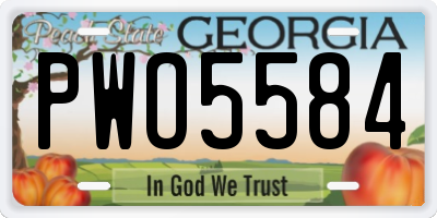 GA license plate PWO5584
