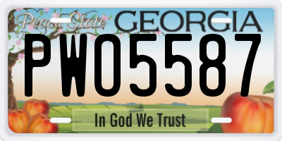 GA license plate PWO5587
