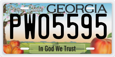 GA license plate PWO5595