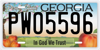 GA license plate PWO5596