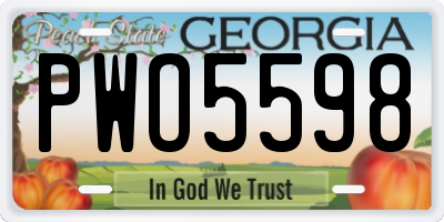 GA license plate PWO5598