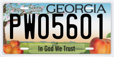 GA license plate PWO5601