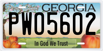 GA license plate PWO5602