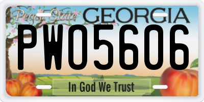 GA license plate PWO5606