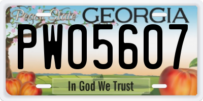 GA license plate PWO5607