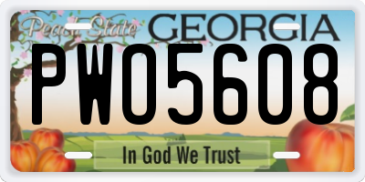 GA license plate PWO5608