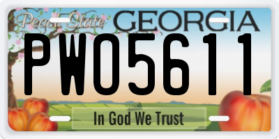 GA license plate PWO5611