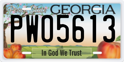 GA license plate PWO5613