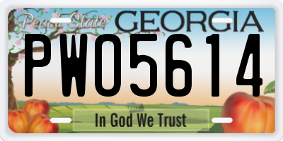 GA license plate PWO5614