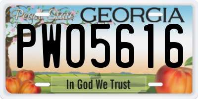 GA license plate PWO5616