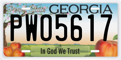 GA license plate PWO5617