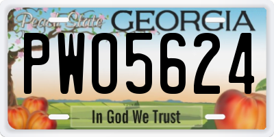 GA license plate PWO5624