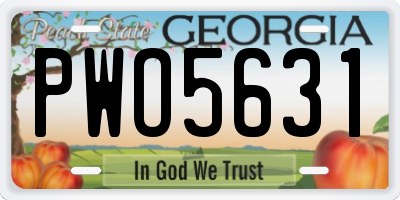 GA license plate PWO5631