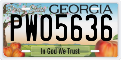 GA license plate PWO5636