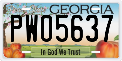 GA license plate PWO5637