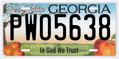 GA license plate PWO5638