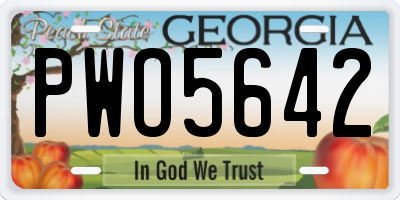 GA license plate PWO5642