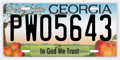 GA license plate PWO5643