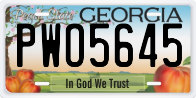 GA license plate PWO5645