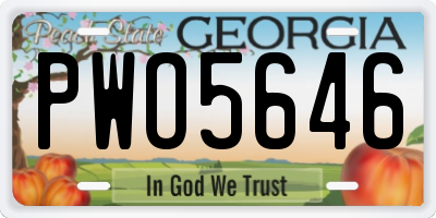 GA license plate PWO5646