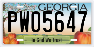 GA license plate PWO5647