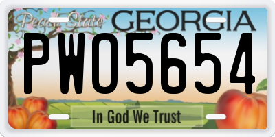 GA license plate PWO5654