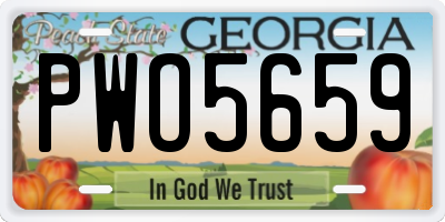 GA license plate PWO5659