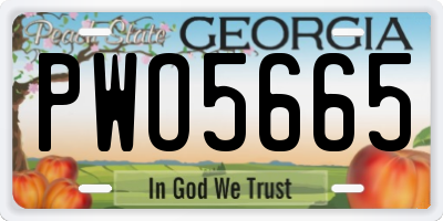 GA license plate PWO5665