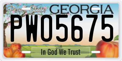 GA license plate PWO5675