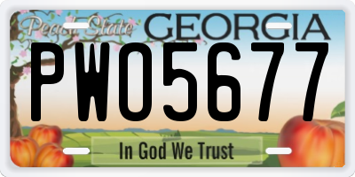 GA license plate PWO5677