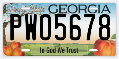GA license plate PWO5678
