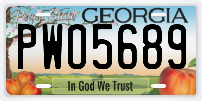 GA license plate PWO5689