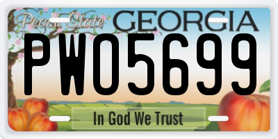 GA license plate PWO5699