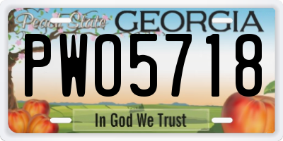 GA license plate PWO5718