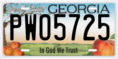 GA license plate PWO5725