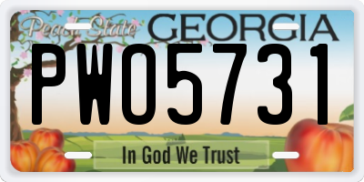 GA license plate PWO5731