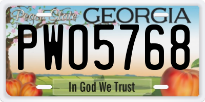 GA license plate PWO5768