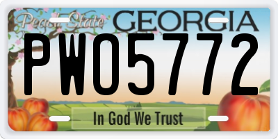 GA license plate PWO5772