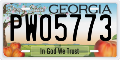 GA license plate PWO5773