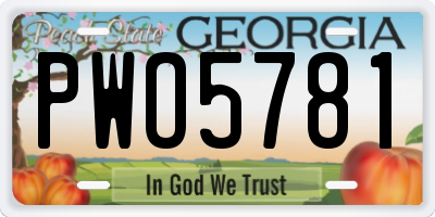 GA license plate PWO5781