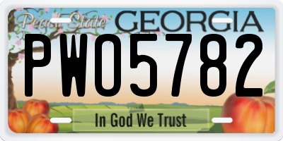 GA license plate PWO5782