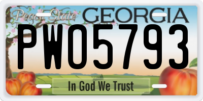 GA license plate PWO5793