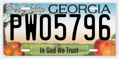 GA license plate PWO5796