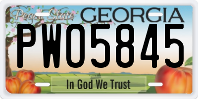 GA license plate PWO5845