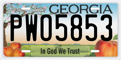 GA license plate PWO5853