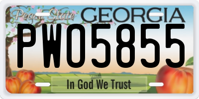 GA license plate PWO5855