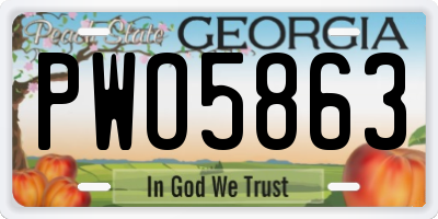GA license plate PWO5863